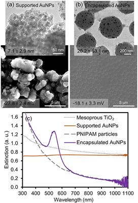 Comparative Catalytic Properties of Supported and Encapsulated Gold Nanoparticles in Homocoupling Reactions